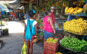 farmer's market Cayo District, Belize – Best Places In The World To Retire – International Living